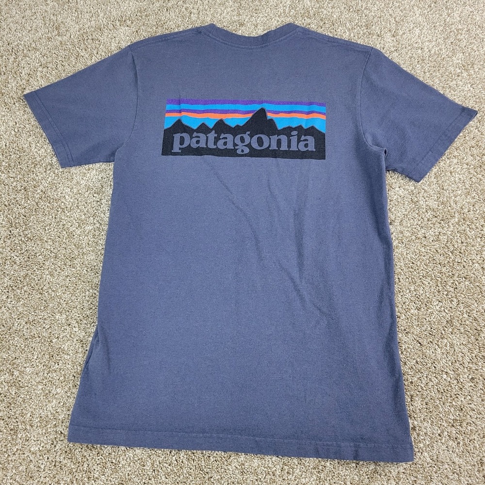 Patagonia Regular Fit Mens Small Gray Big Back Hit Crew Neck T Shirt